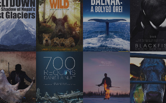 termeszetfilmek-dokumentumfilmek
