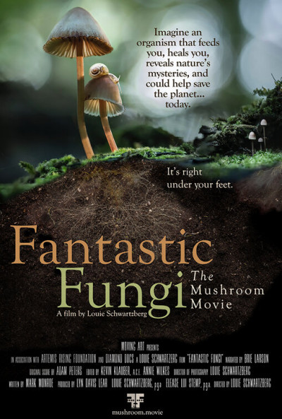 fantastic-fungi-2019
