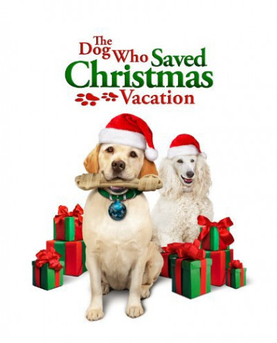 a-kutya-aki-megmentette-a-karacsonyi-vakaciot-2010