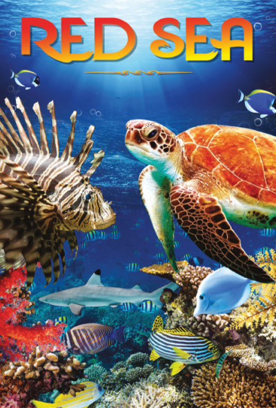 a-lenyugozo-voros-tenger-2016