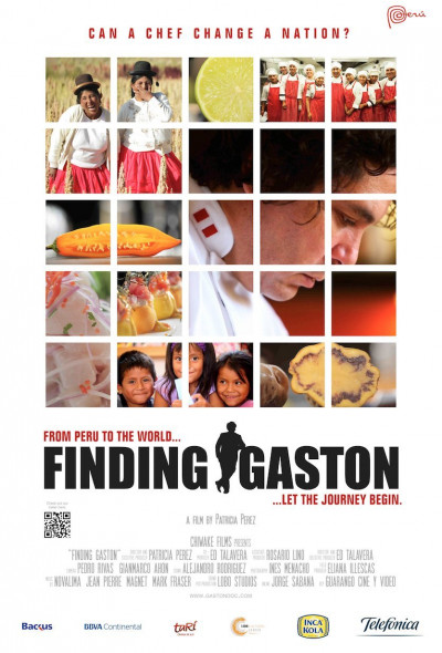 buscando-a-gaston-2014