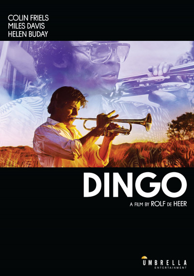 dingo-1991