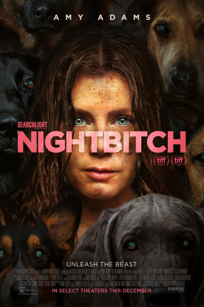 ejszakai-szuka-amerikai-horror-vigjatek-amy-adams-scoot-mcnairy-2024