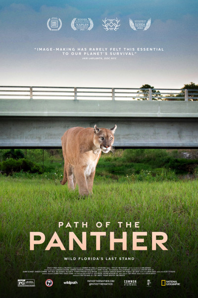 everglades-a-puma-nyomaban-amerikai-dokumentumfilm-2022