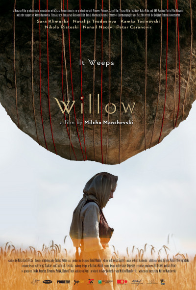 willow-2019
