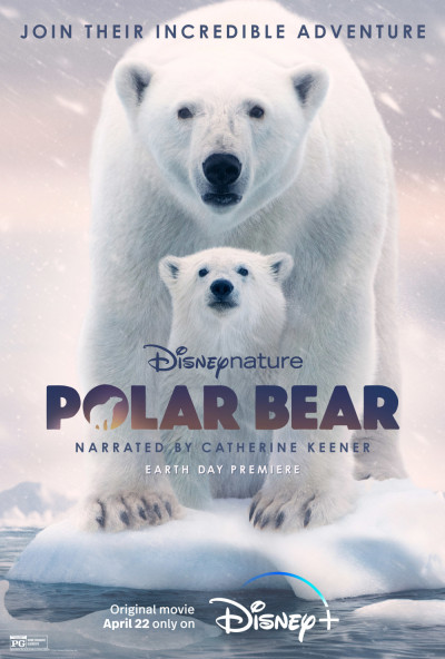 jegesmedve-polar-bear-2022