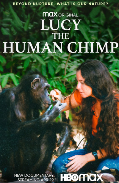 lucy-a-csimpanz-akit-emberek-neveltek-2021