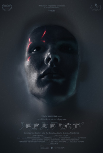perfect-2018