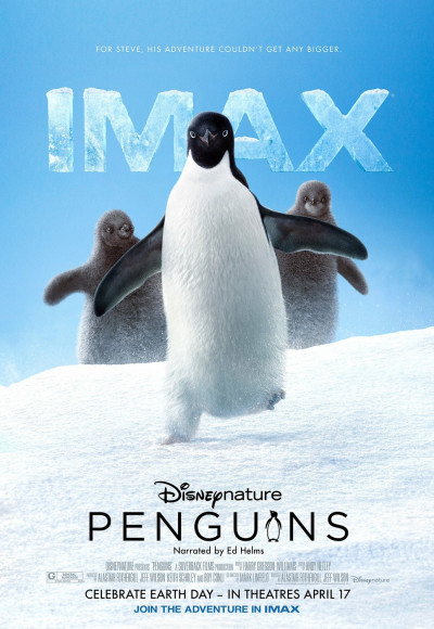 pingvinek-2019