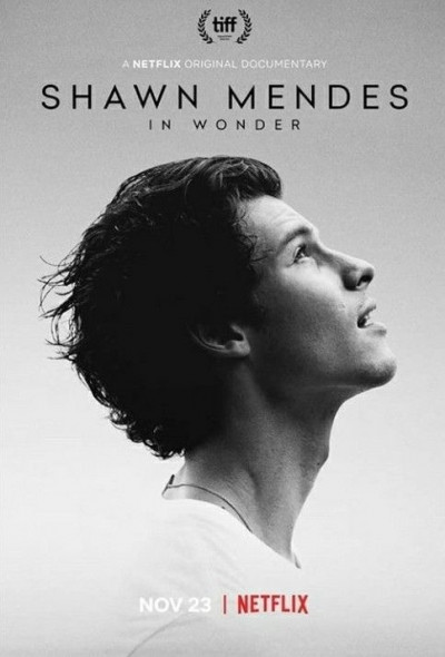 shawn-mendes-in-wonder-2020
