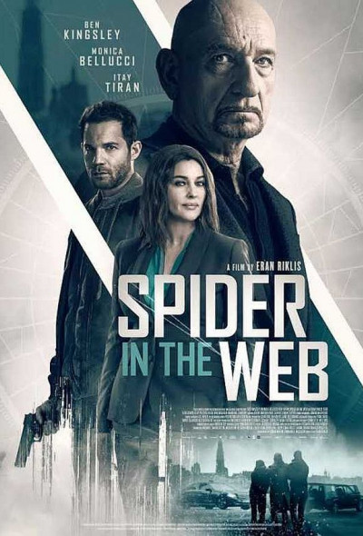 spider-in-the-web-2019