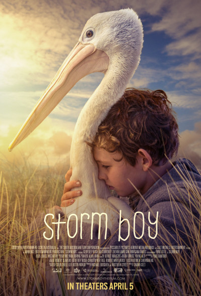 storm-boy-2019