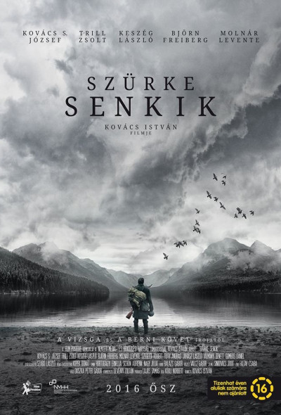 szurke-senkik-2016