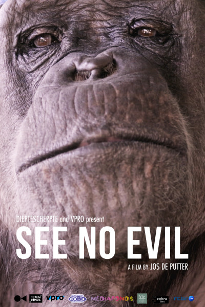 see-no-evil-2014