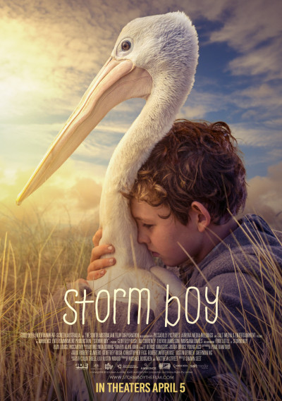 storm-boy-2019
