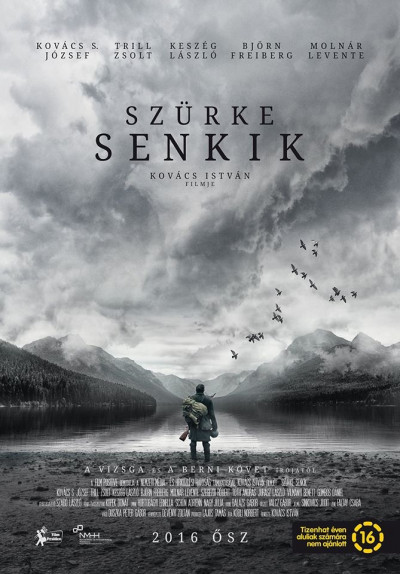 szurke-senkik-2016
