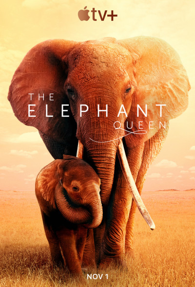 the-elephant-queen-2019