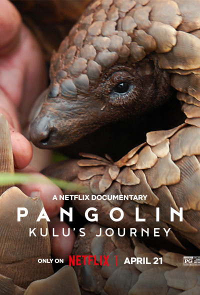 tobzoska-kulu-utazasa-angol-dokumentumfilm-2025