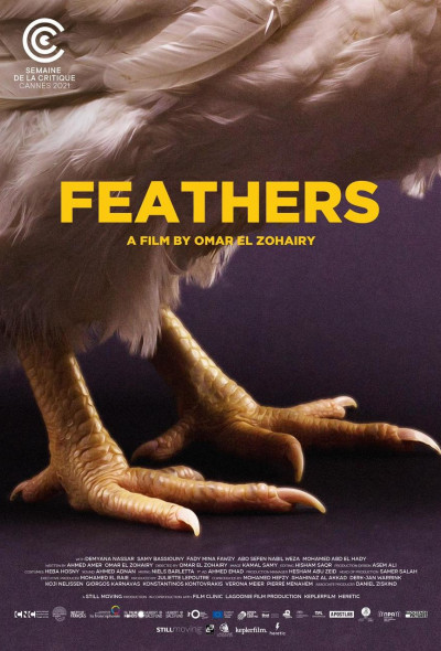 tollak-feathers-2021