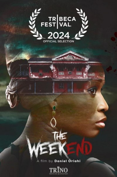 csaladi-hetvege-nigeriai-thriller-2024