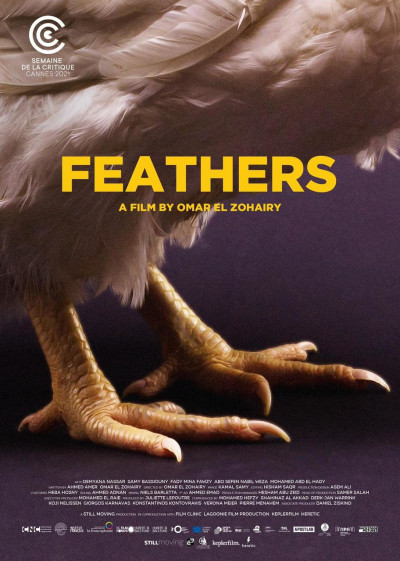 tollak-feathers-2021