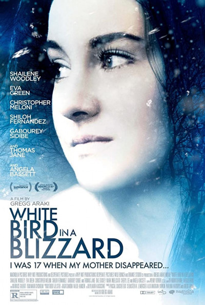 white-bird-in-a-blizzard-2014