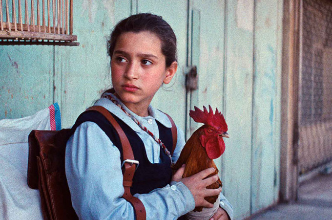 kritika-az-elnok-tortaja-hasan-hadi-the