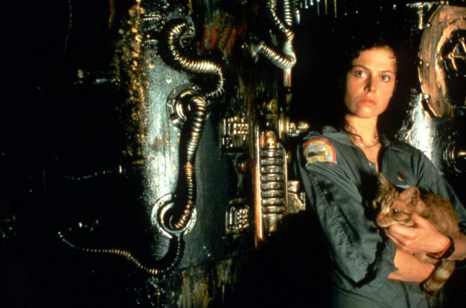 feminista-bosszuhorrortol-a-hideghaborus