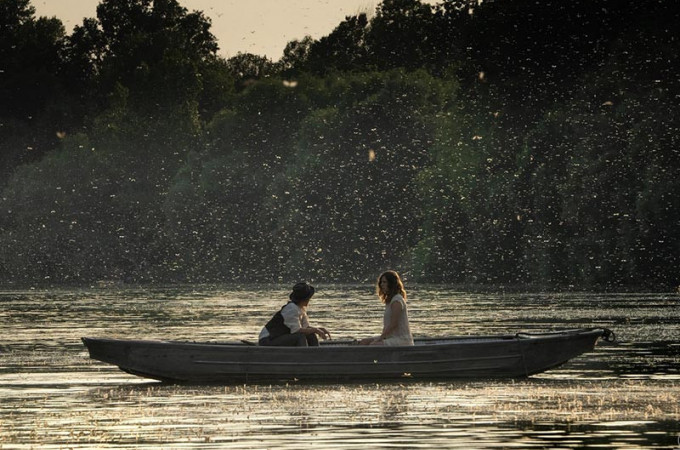 kritika-pipas-goldberg-emilia