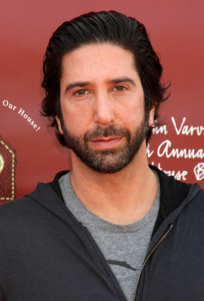 David Schwimmer